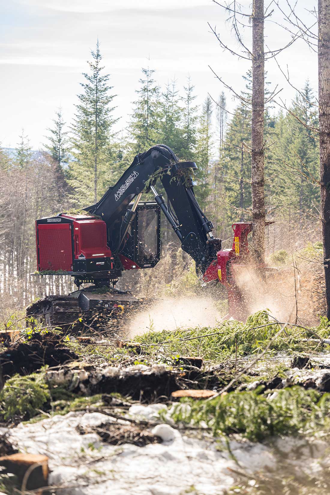 TimberPro TL755D WCE Chris Martin 6409 new